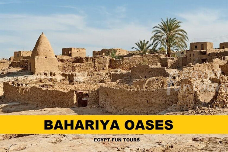 Bahariya oasis Egypt Fun Tours