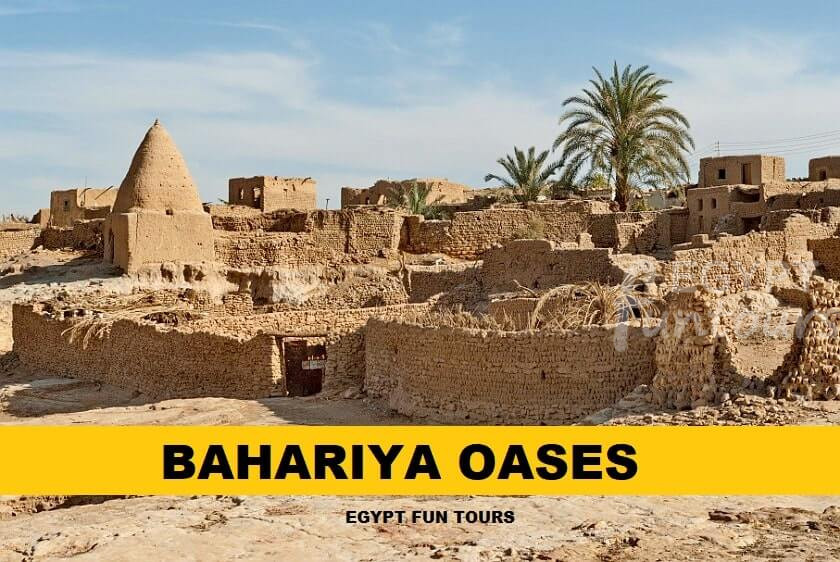 Bahariya oasis Egypt Fun Tours