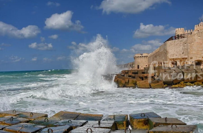 Best day trip to Alexandria from Cairo Egypt Fun Tours