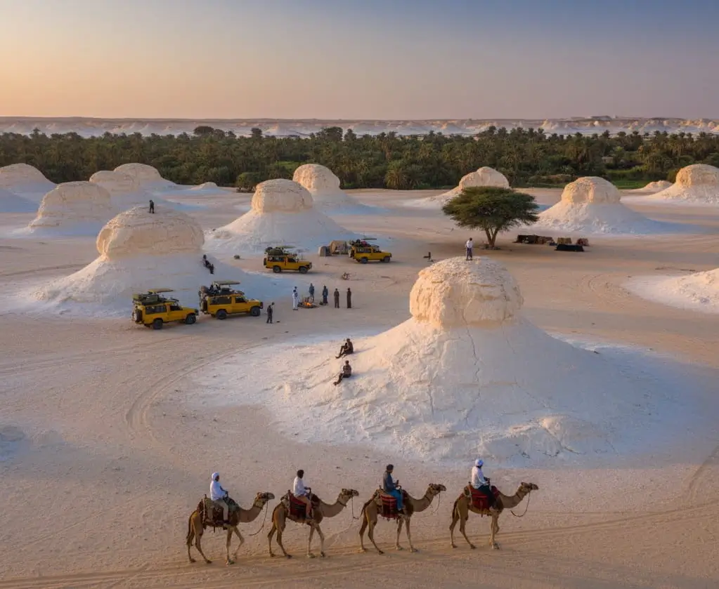 Farafra Oasis; Unforgettable Activities and Attractions