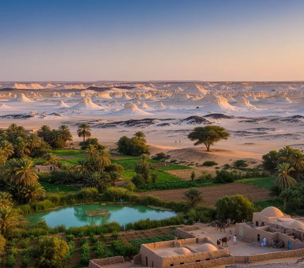 Farafra oasis; A Landscape of Contrasts