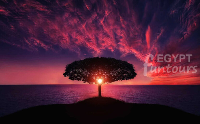 Global Code of Ethics for Tourism Egypt Fun Tours