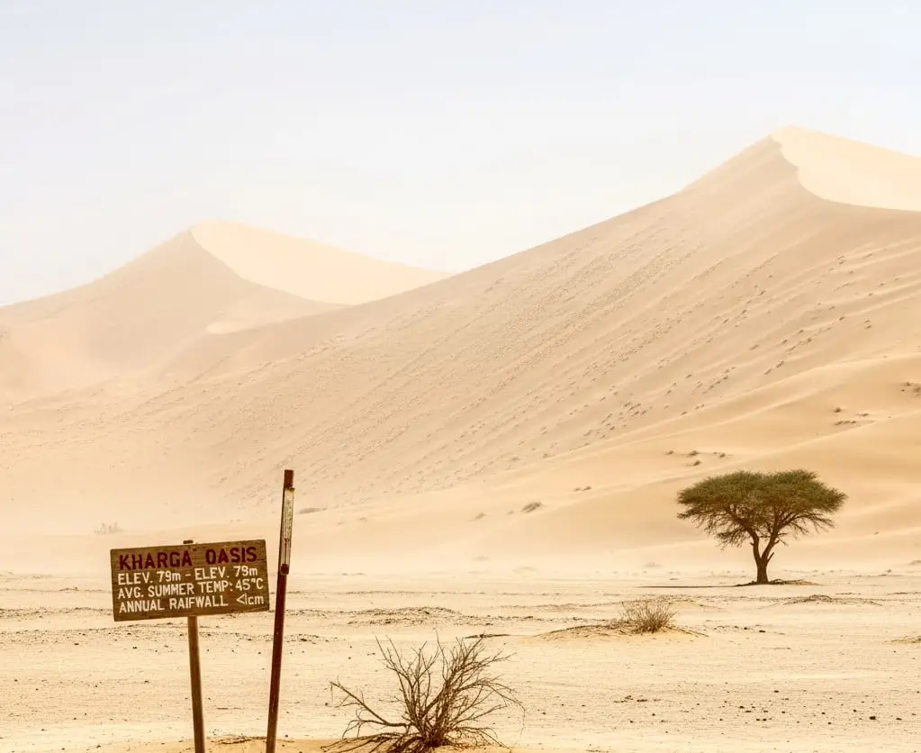 The Climate of Kharga Oasis A Desert Profile