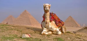 15 Days Family Tour Across the Corners of Egypt - Egypt Fun Tours