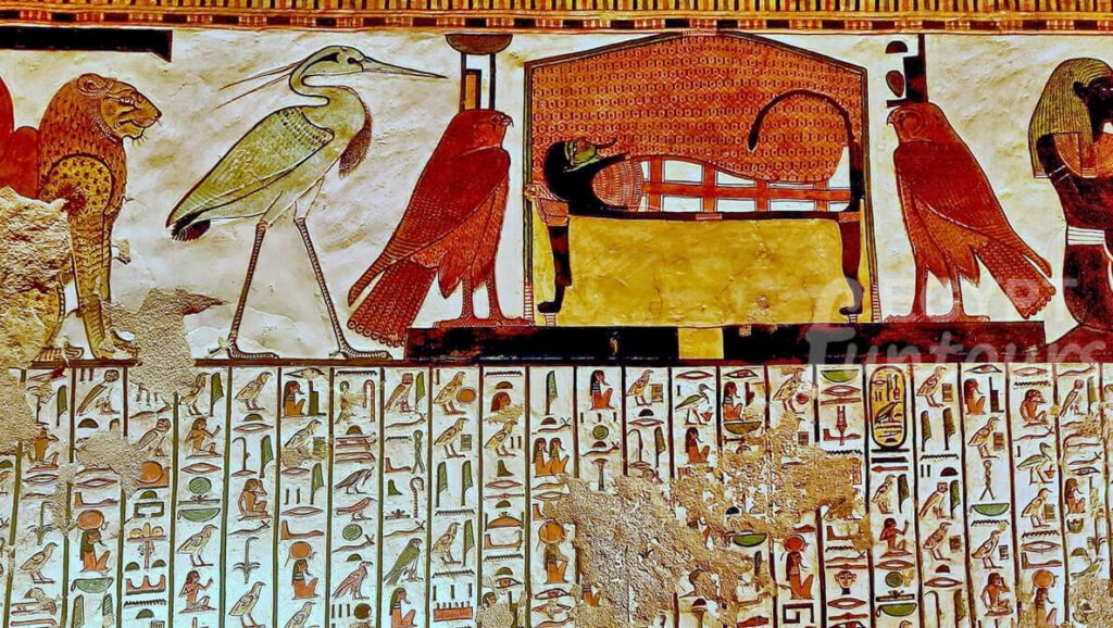 8 Days Cairo Nile Cruise Hurghada Wheelchair Tour Package - 8-day tour package