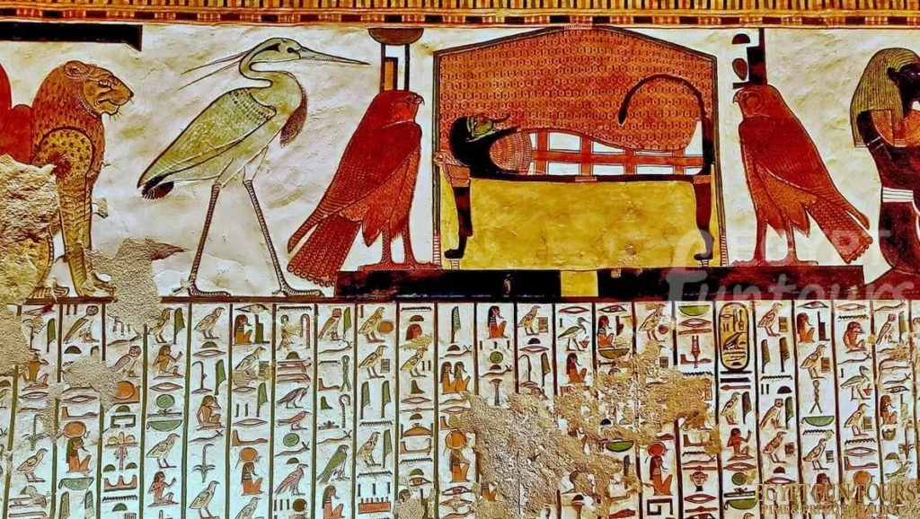 8 Days Cairo Nile Cruise Hurghada Wheelchair Tour Package - 8-day tour package