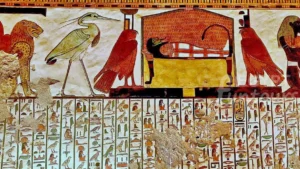 8 Days Cairo Nile Cruise Hurghada Wheelchair Tour Package - 8-day tour package