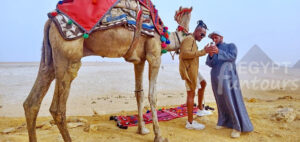 8 Days Honeymoon Cairo Nile Adventure Holiday Egypt Fun Tours min 1