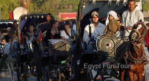 Aswan Horse Carriage Trip - Egypt Fun Tours