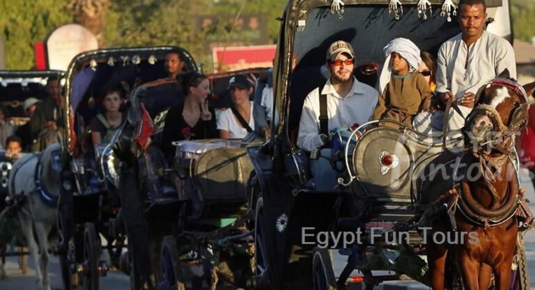 Aswan Horse Carriage Trip Egypt Fun Tours - 8 days family tour