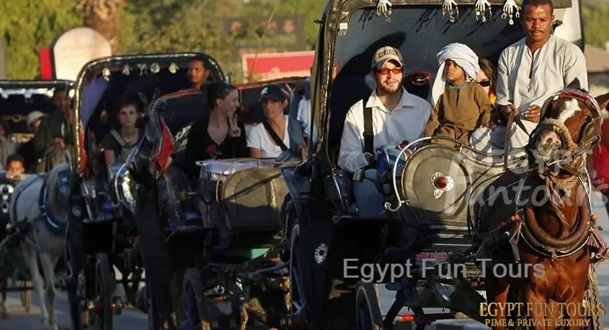 Aswan Horse Carriage Trip Egypt Fun Tours - 8 days family tour