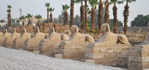 Day Tour from Safaga to Luxor - Egypt Fun Tours