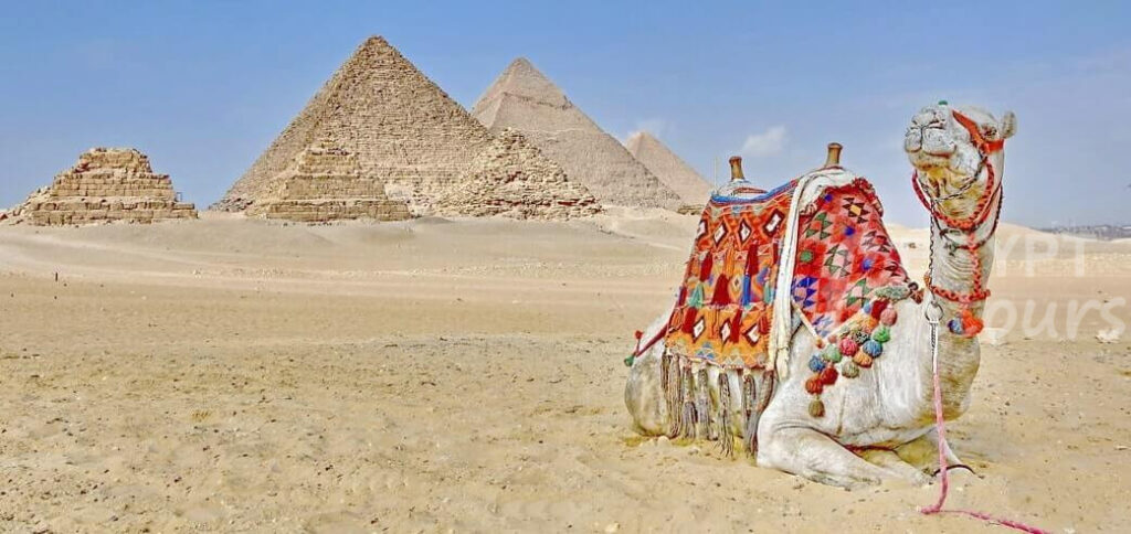 aswan to cairo day trip