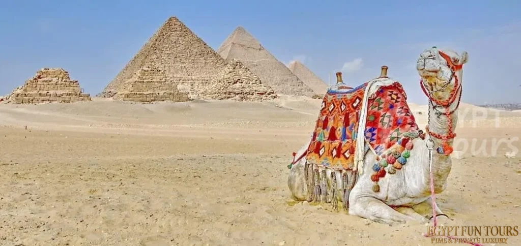 aswan to cairo day trip