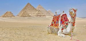 Day Trip from Aswan to Cairo by Plane - Egypt Fun Tours