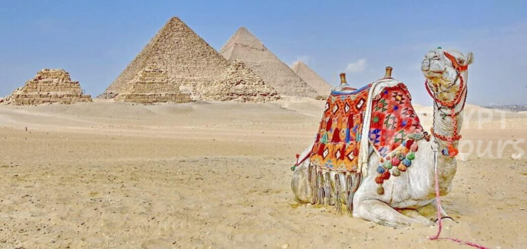 aswan to cairo day trip