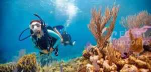 Diving in El Gouna
