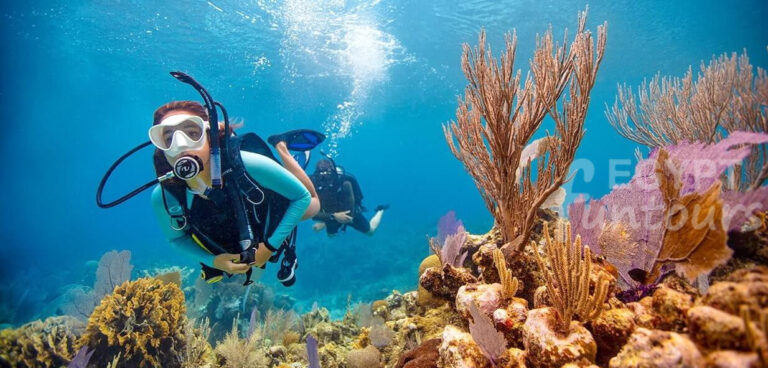 Diving in El Gouna