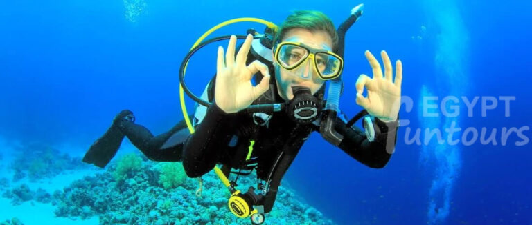 Diving Excursion in Port Ghalib Egypt Fun Tours - port ghalib diving excursion