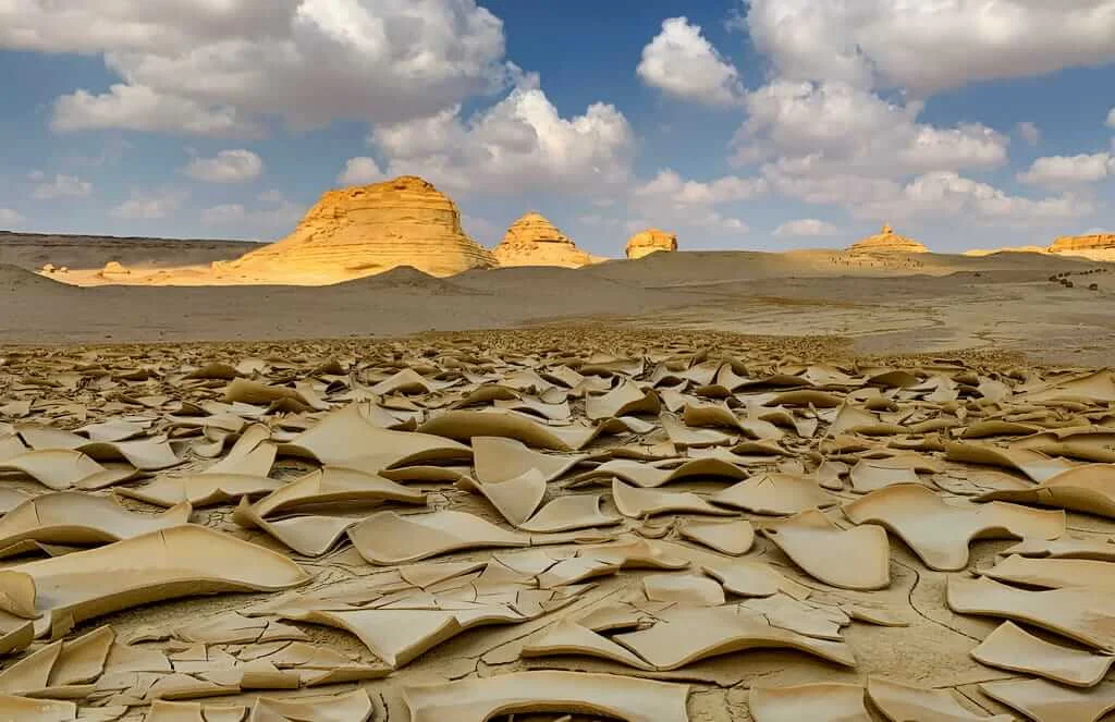 Fayoum Oasis Expedition; A Private 4x4 Journey to Wadi El Hitan and Magic Lake - Wadi El Hitan Nature