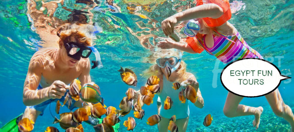 Makadi Bay Excursion Snorkeling Trip - Snorkeling trip in el gouna
