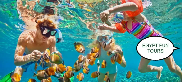 Tour from Makadi Bay - Snorkeling from Soma Bay