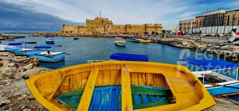 Private Alexandria Day Trip from Cairo; Exploring the Graeco-Roman Pearl of the Mediterranean