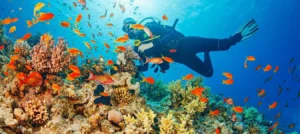 Scuba Diving from Safaga Port - Sharm El Shiekh Scuba Diving