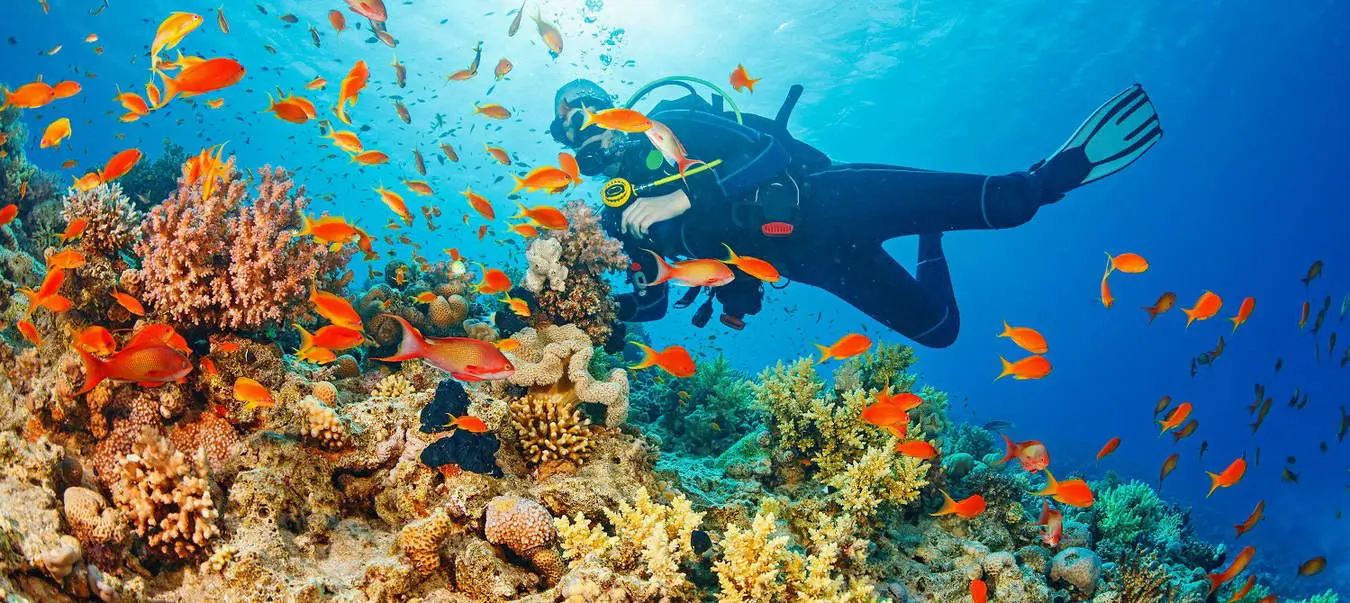 Scuba Diving from Safaga Port - Sharm El Shiekh Scuba Diving