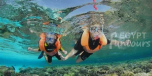 Snorkeling Excursion in Marsa Alam - Luxor Transfer to Marsa Alam