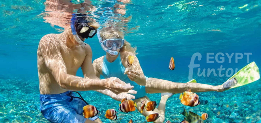Snorkeling from Safaga Port Egypt Fun Tours