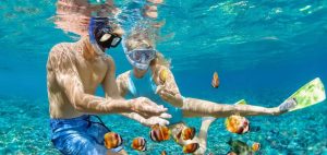 Snorkeling from Safag Port - Egypt Fun Tours