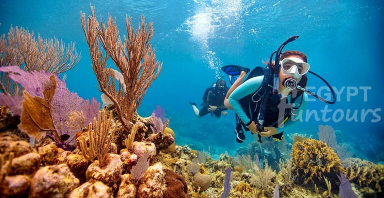 Soma Bay Diving Excursion Egypt Fun Tours