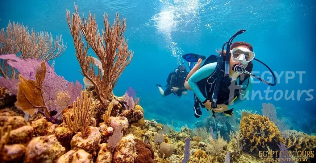 Soma Bay Diving Excursion Egypt Fun Tours