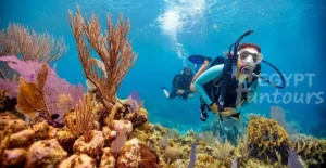 Soma Bay Diving Excursion Egypt Fun Tours