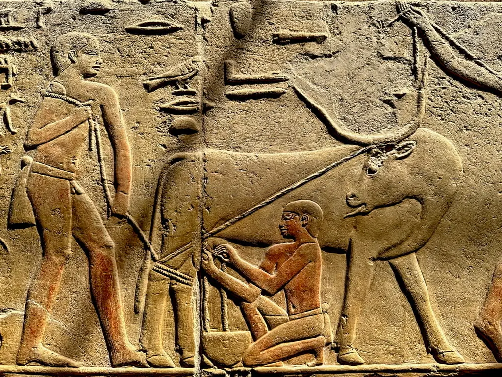 The nobles tombs in Saqqara - Tour from Cairo Airport