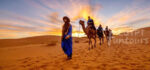 Egypt Sahara Desert Adventure Tours Egypt Fun Tours min 1