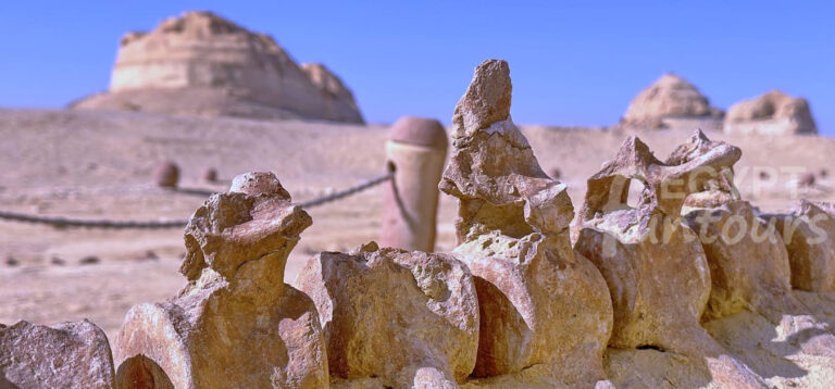 3 Days UNESCO Tour of Cairo and Wadi El Hitan Egypt Fun Tours