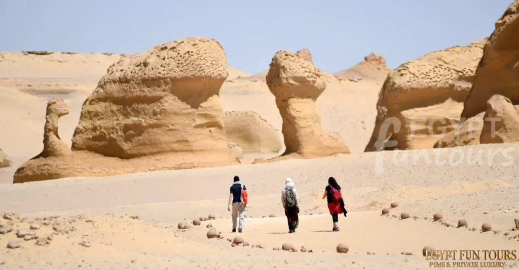Egypt YOLO Tours - Wadi El Hitan Adventures