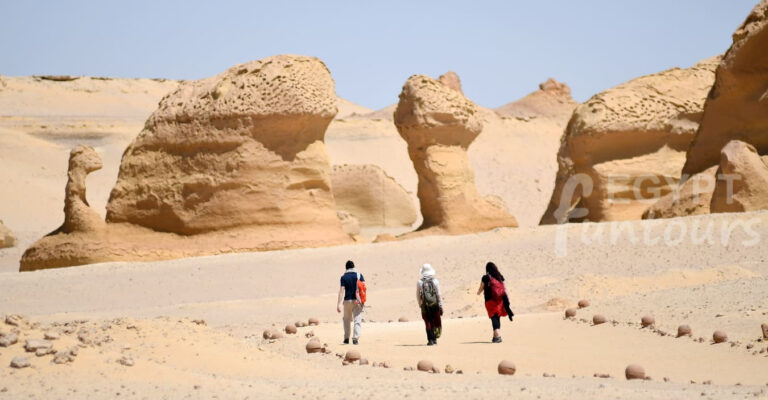 Egypt YOLO Tours - Wadi El Hitan Adventures