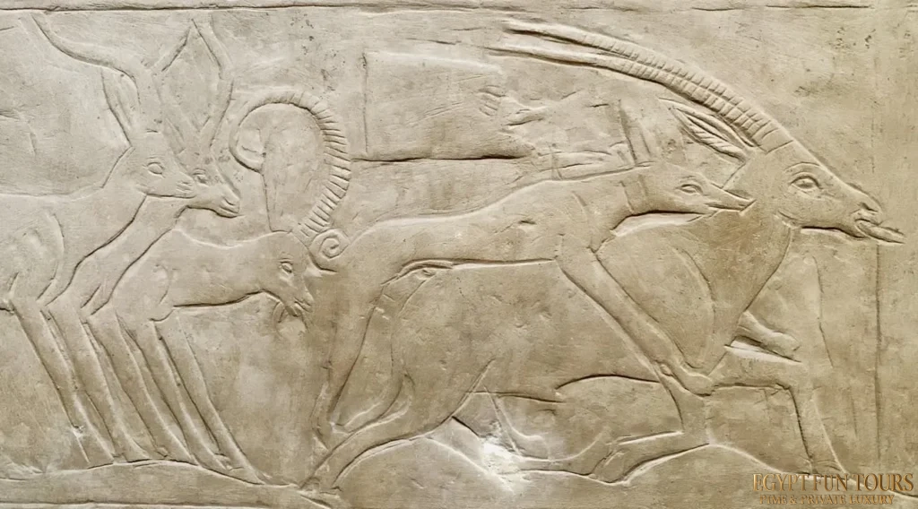 Dogs in ancient Egypt Egypt Fun Tours