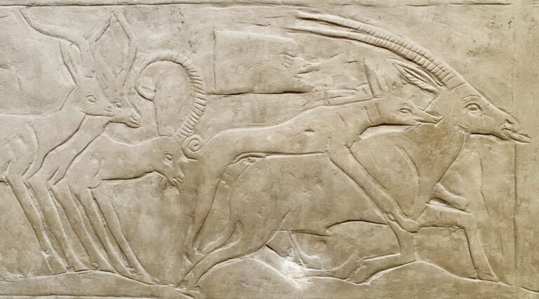 Dogs in ancient Egypt Egypt Fun Tours