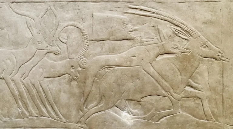 Dogs in ancient Egypt Egypt Fun Tours