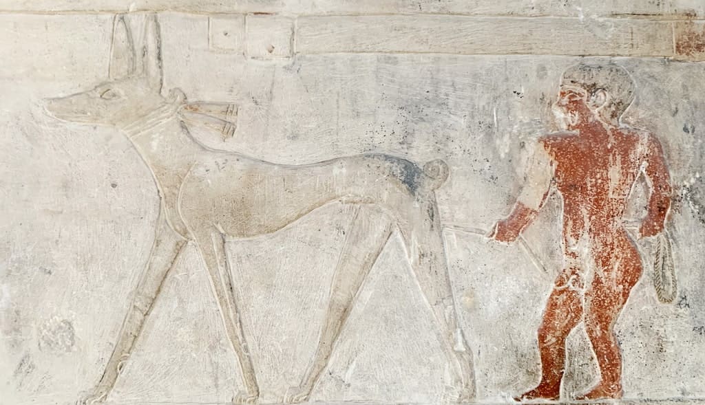 Dogs in ancient Egypt