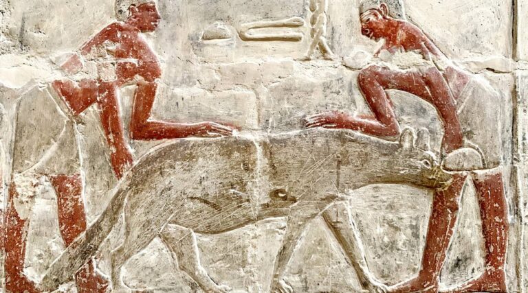 Hyenas in ancient Egypt Egypt Fun Tours