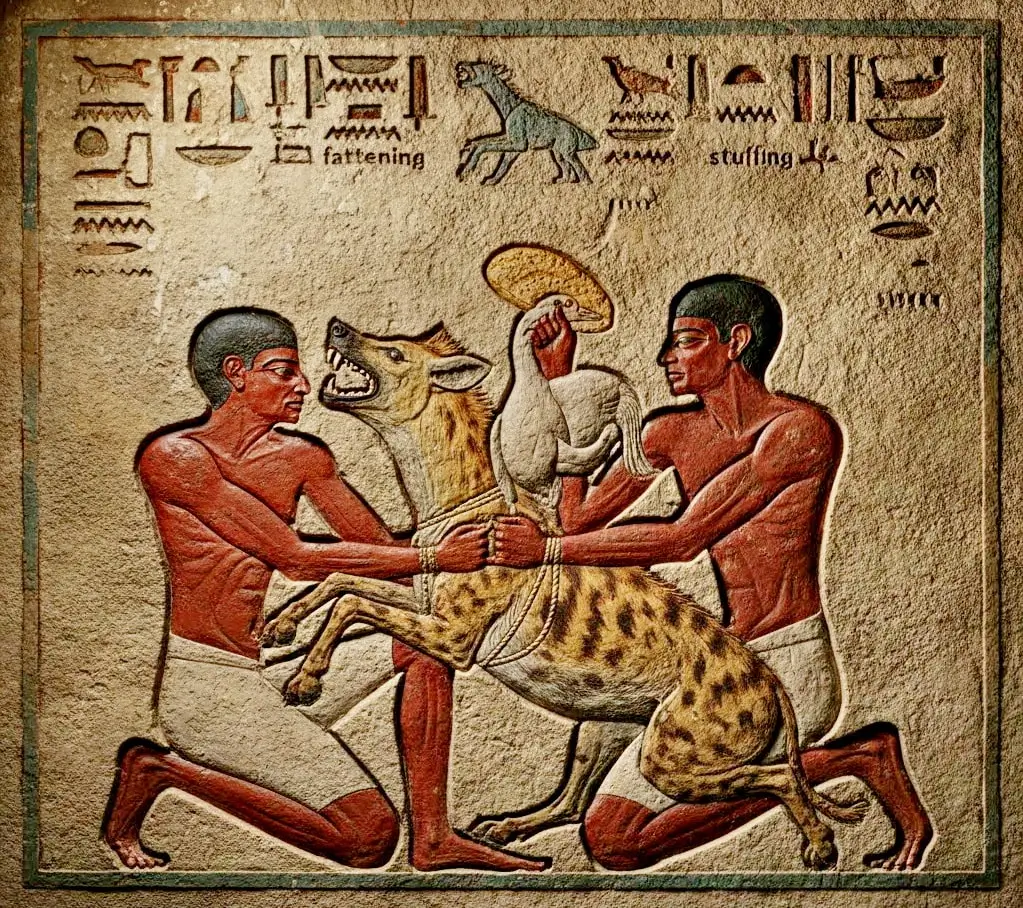 No God for the Hyenas in Ancient Egypt (Symbolism)