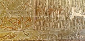 The Hippo in ancient Egypt Egypt Fun Tours - 8-day tour for older people