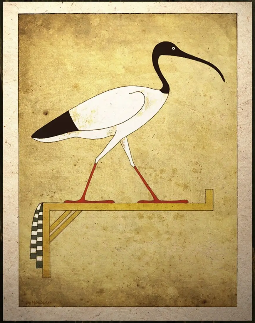The Ibis in Art, Amulets, and Hieroglyphs