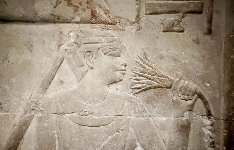 Lotus flower in ancient Egypt