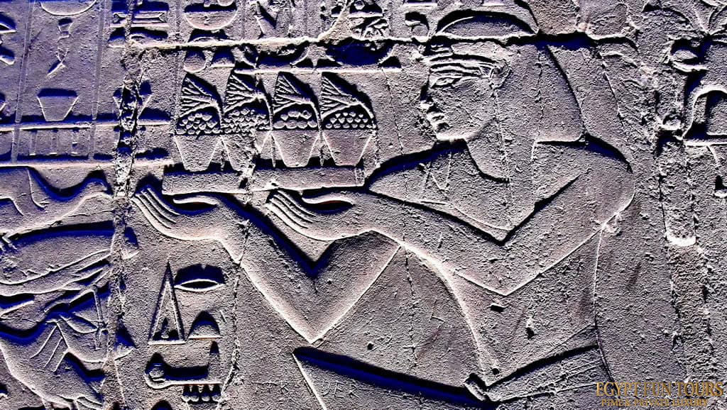 ancient Egyptian lotus flower Egypt Fun Tours 1